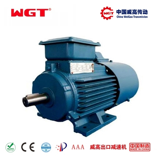 YEJ series copper wire wound three-phase 4hp motor