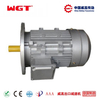 YE2 series copper wire wound three-phase 4hp motor