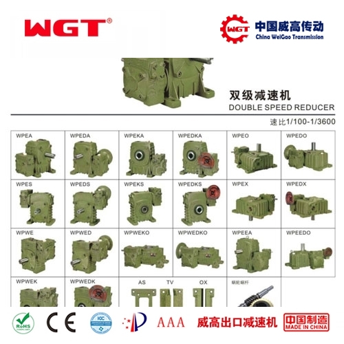 WPES40 ~ 250 Worm Gear Reducer