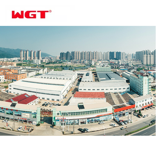 China Weigao Transmission Company