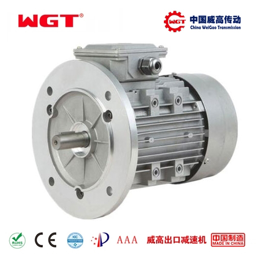 YB2 series copper wire wound three-phase 4hp motor